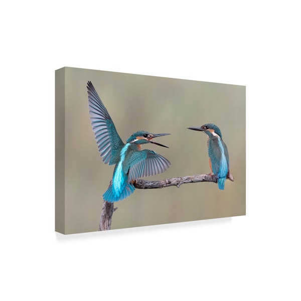 E Amer 'Whats Up Birds' Canvas Art,12x19